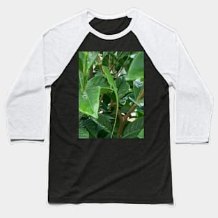 Green anole Baseball T-Shirt